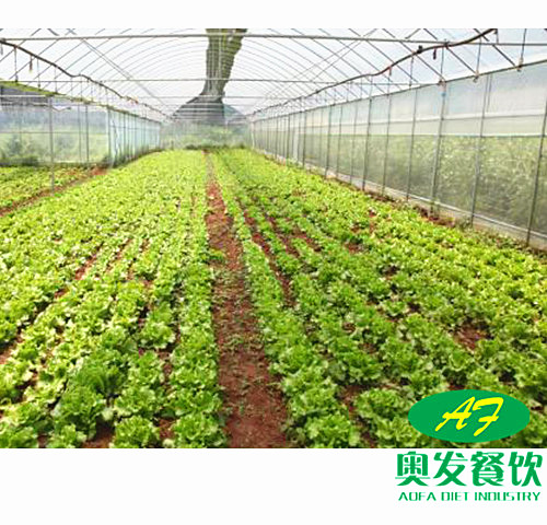 武漢學(xué)校食堂承包工作應(yīng)該如何做到更好？