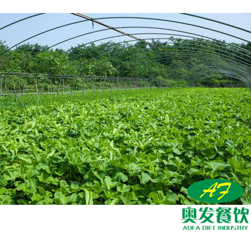 武漢蔬菜配送的運(yùn)作流程是怎樣的？